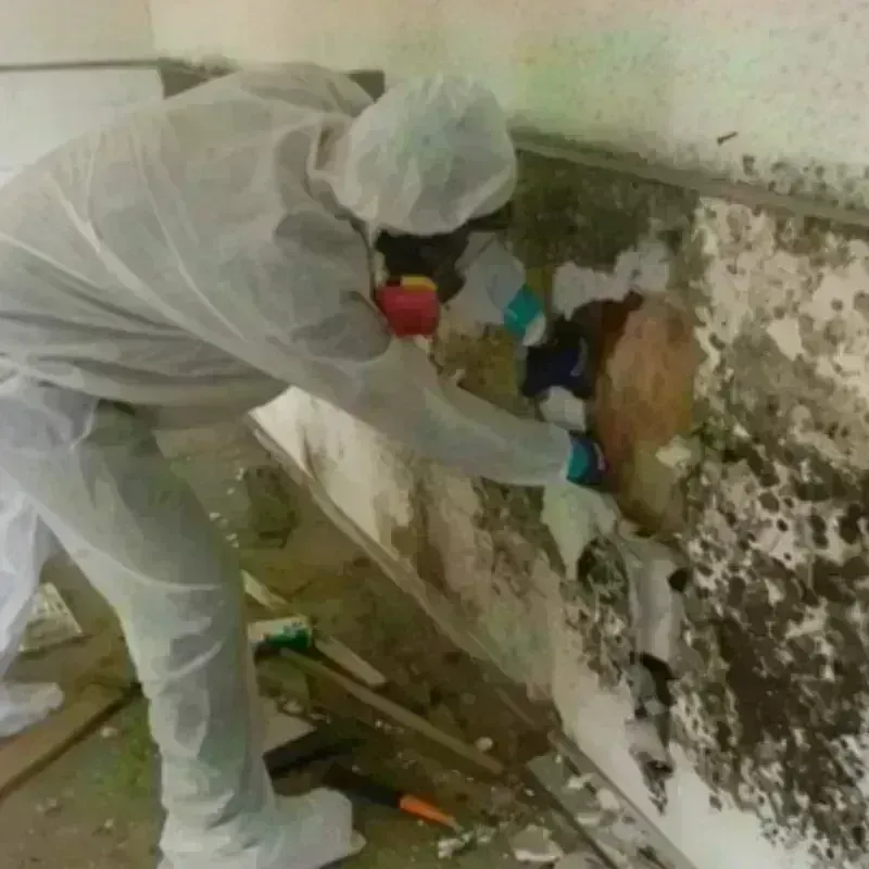 Mold Remediation and Removal in Broad Channel, NY